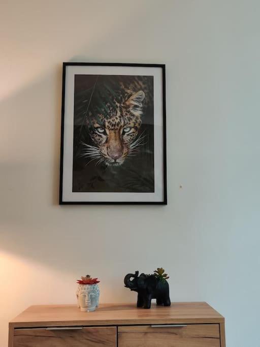 Ferienwohnung La Jungle Urbaine Avec Garage Prive & Climatisation Perpignan Exterior foto