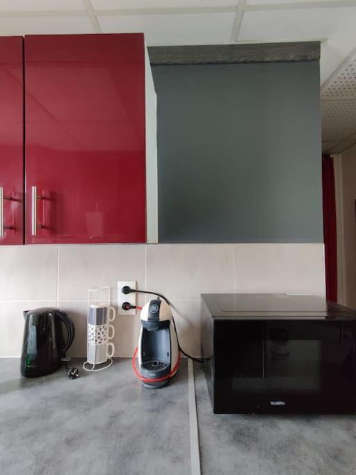 Ferienwohnung La Jungle Urbaine Avec Garage Prive & Climatisation Perpignan Exterior foto