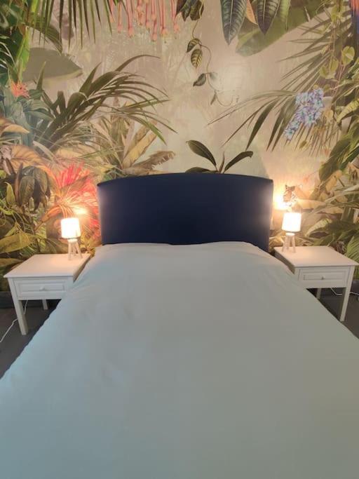 Ferienwohnung La Jungle Urbaine Avec Garage Prive & Climatisation Perpignan Exterior foto